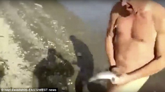 pria pancing ikan dengan penis