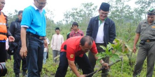 3 Ordo tumbuhan berbiji terbuka yang berguna untuk manusia