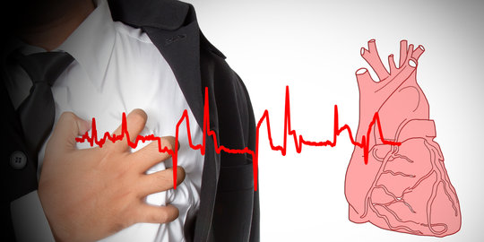 Ini pentingnya jantung dan aliran darah dalam tubuh manusia