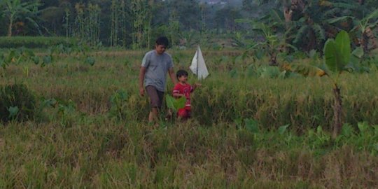 Masalah beras masih mencuat karena pemerintah tak pro petani