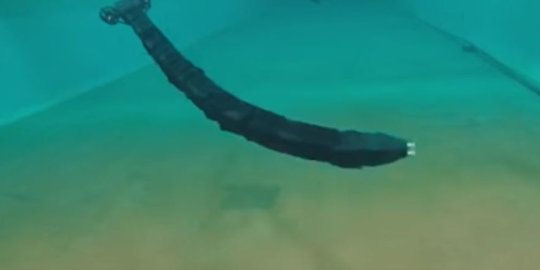 Lihat robot ular menari-nari di bawah air, mirip hewan asli!