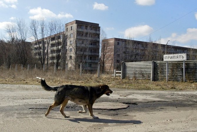 chernobyl