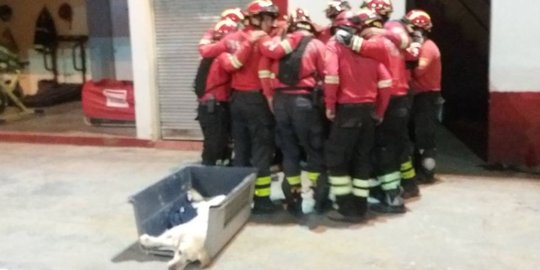 Bikin haru, anjing selamatkan 7 korban gempa Ekuador tewas kelelahan