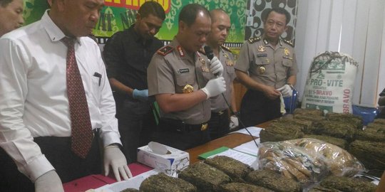 Polda Riau gagalkan peredaran 30 kg ganja yang dipesan dari Aceh