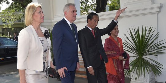 Keakraban Jokowi terima kunjungan Presiden Serbia di Istana