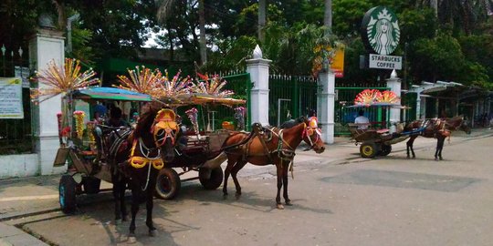 Anggota DPRD DKI nilai pelarangan delman di Monas tak beralasan