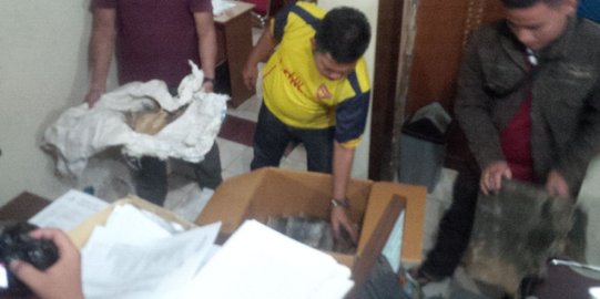 2 Pemburu dibekuk, polisi mengamankan tulang dan kulit harimau