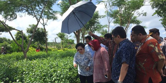 Cari calon lawan Ahok, Megawati kian mesra dengan Risma