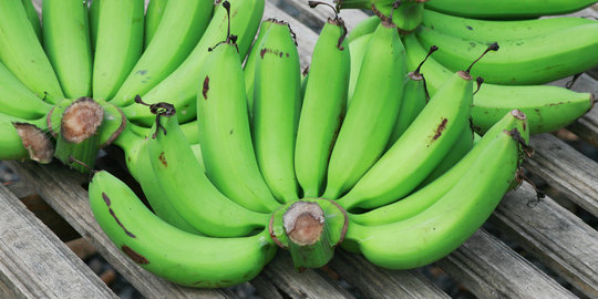 8 Hal yang terjadi pada tubuhmu saat makan pisang mentah tiap hari