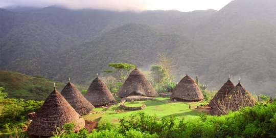 rebo indonesia rev1
