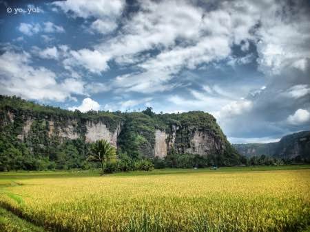 lembah harau