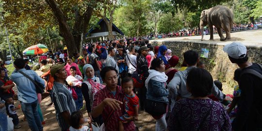 Liburan ke Ragunan, 5 bocah terpisah dari orangtua