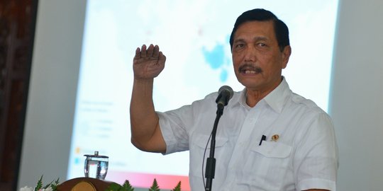 Tak catut Jokowi, Luhut sebut haknya jika dukung Setnov di Munaslub