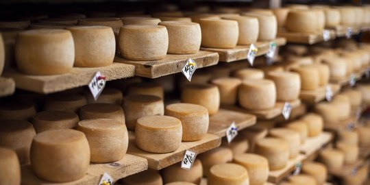 5 alat pembayaran teraneh di dunia, dari keju hingga air kencing