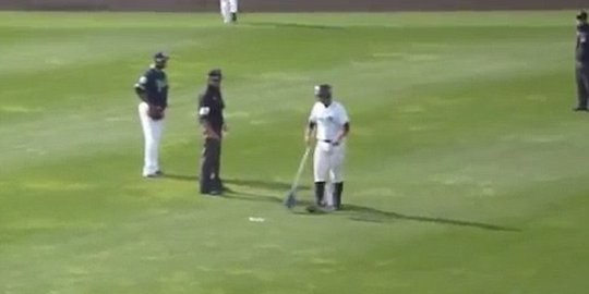 Pertandingan baseball terhenti gara-gara hujan ikan