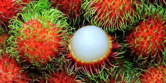 Ini dia daftar buah-buahan sehat terbaru yang wajib untuk kamu coba