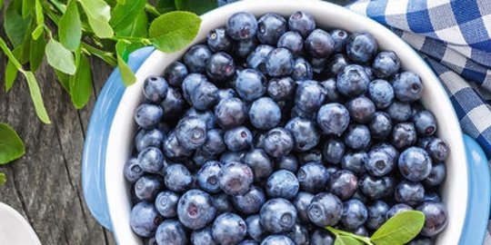 ini dia daftar buah-buahan sehat terbaru yang wajib untuk kamu coba