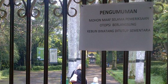 Hasil investigasi BKSDA, kandang Kebun Binatang Bandung tak terurus