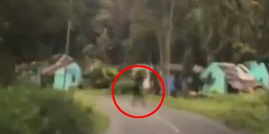 pandang terlihat melintasi hutan rev2