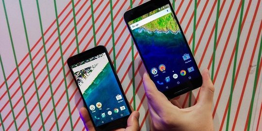 dan nexus 6p rev1