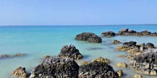 Tak Cuma di Yordania, Indonesia Juga Punya 'Laut Mati'