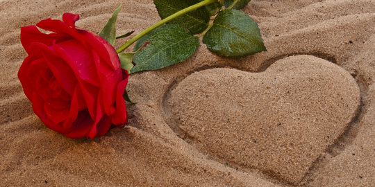 Cerita Dewi dan setangkai mawar merah buat Ahok  merdeka.com