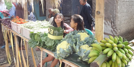 Sektor pertanian dinilai jadi solusi atasi pengangguran