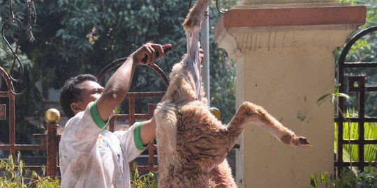 Terpergok menyembelih kambing, 2 pencuri nyaris dibakar massa