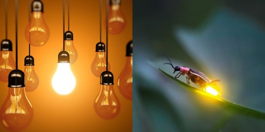 yang lebih terang rev1