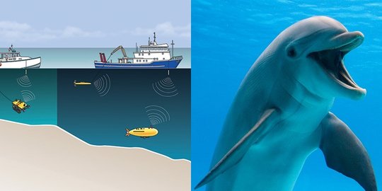 5 penemuan luar biasa ini ternyata terinspirasi dari alam!