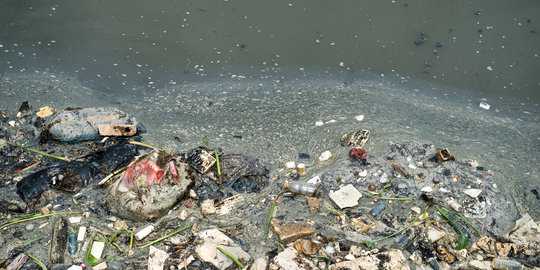 Walhi sebut lima sungai besar Jambi tercemar limbah tambang PT Antam