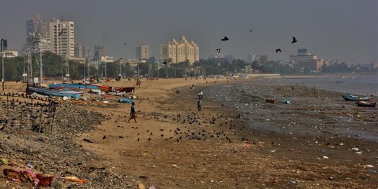 india