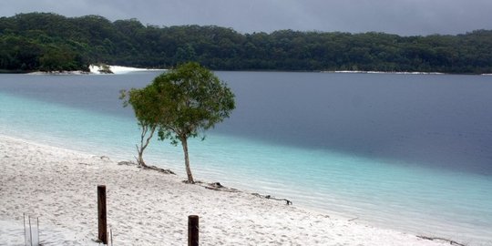 fraser australia