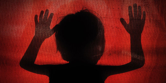 DPR segera masukkan RUU Kekerasan Seksual Anak ke Prolegnas