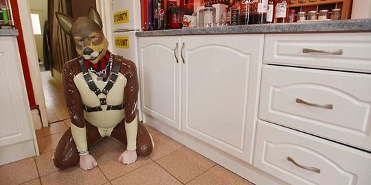 Bagi pria Inggris ini, jadi anjing adalah hal terbaik dalam hidup