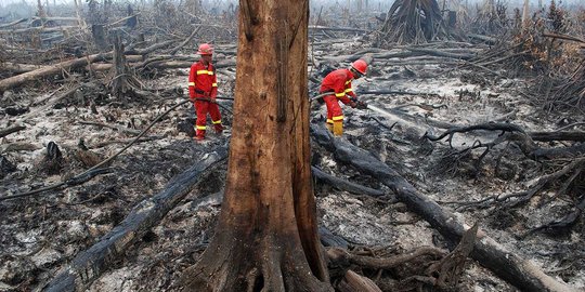 Perusahaan swasta bakal terlibat dalam pencegahan kebakaran hutan