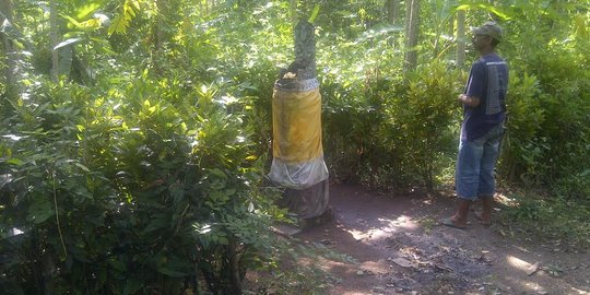 Kuburan berisi 7 kerangka eks anggota PKI di Jembrana akan dibongkar