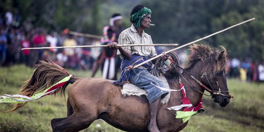 Pasola dan budaya perang Sumba