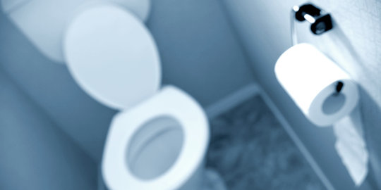 Ahok akan buat toilet standar mal di taman-taman Jakarta