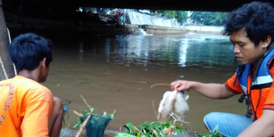 Di balik bersihnya sungai Jakarta
