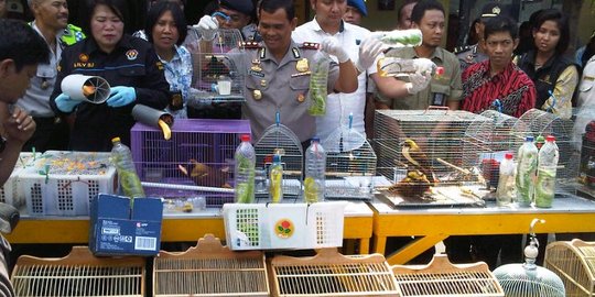 Marak hewan langka diburu, Polisi minta warga tangkap pemburu liar