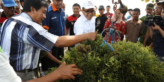 KKP klaim sektor budidaya perikanan mulai dilirik bank swasta