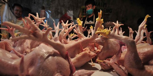 Jelang Ramadan, kenaikan harga daging ayam hantui warga Solo