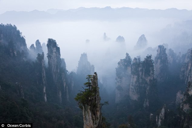 taman hutan nasional zhangjiajie