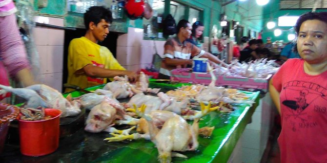  Harga  ayam potong  di  Makassar naik terus kini tembus Rp 