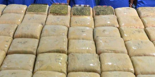 BNNP Jatim musnahkan 5 kilogram ganja kering