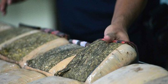 Kasus ganja 1,6 ton, 11 orang yang diamankan jadi tersangka