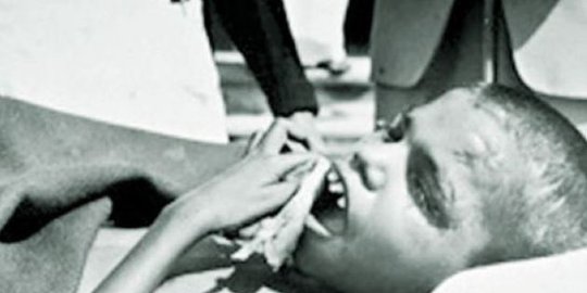 india tumbuh besar dirawat serigala rev1