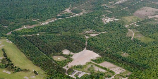 Ini hutan lebat lokasi hilangnya bocah 7 tahun di Jepang