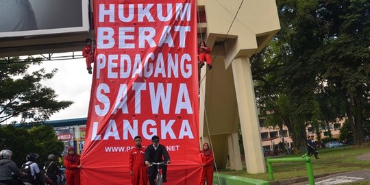 Marak kasus perdagangan satwa langka bikin para aktivis ini miris